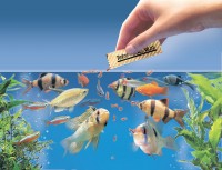 How to Choose the Best Food for Your Fish?